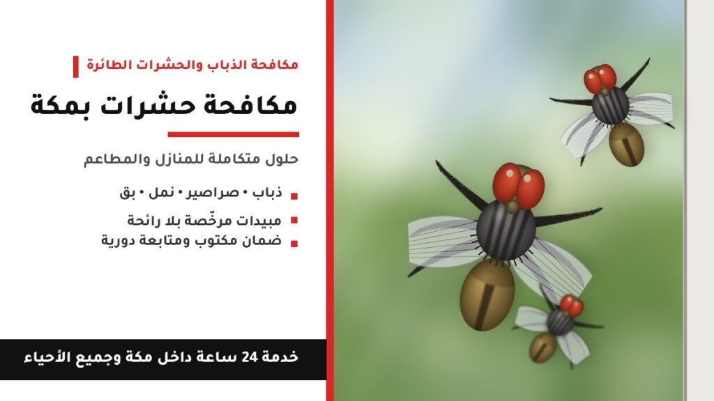 فريق مكافحة حشرات بمكة أثناء تعقيم وتطهير منزل بمبيد آمن