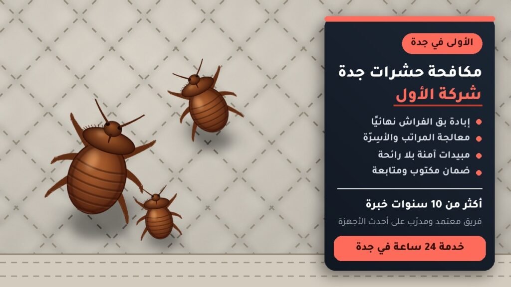 مكافحة حشرات جدة – شركة الأول